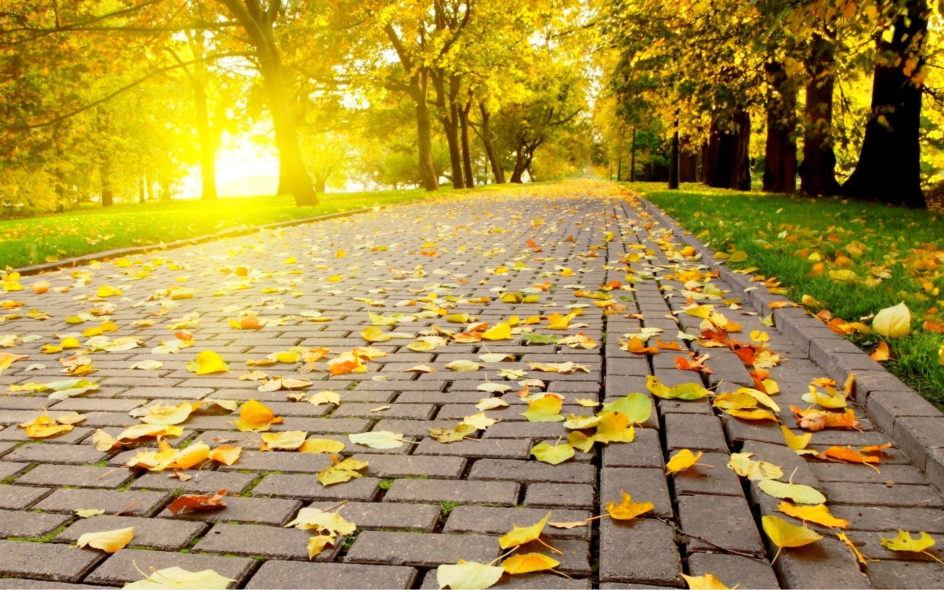 HÀ NỘI - NINH BÌNH - HẠ LONG - YÊN TỬ -  SA PA  - HÀ NỘI  CAO TỐC